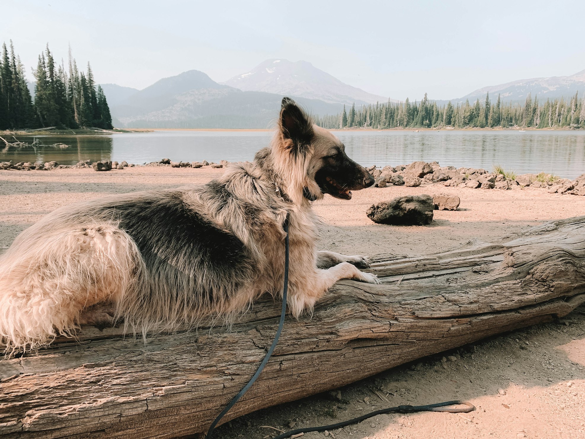 Pet-friendly vacation rentals in Bend