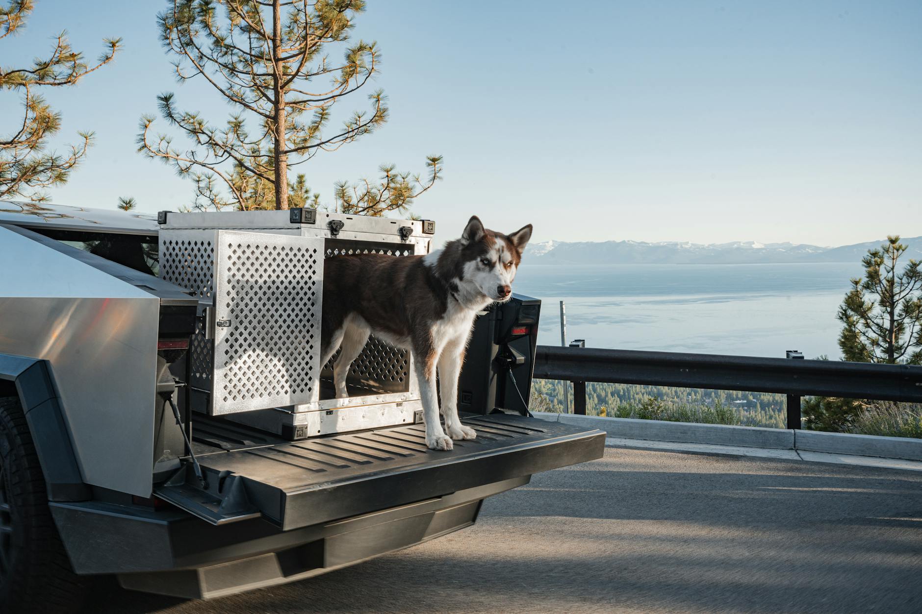 Pet-friendly vacation rentals in Lake Tahoe