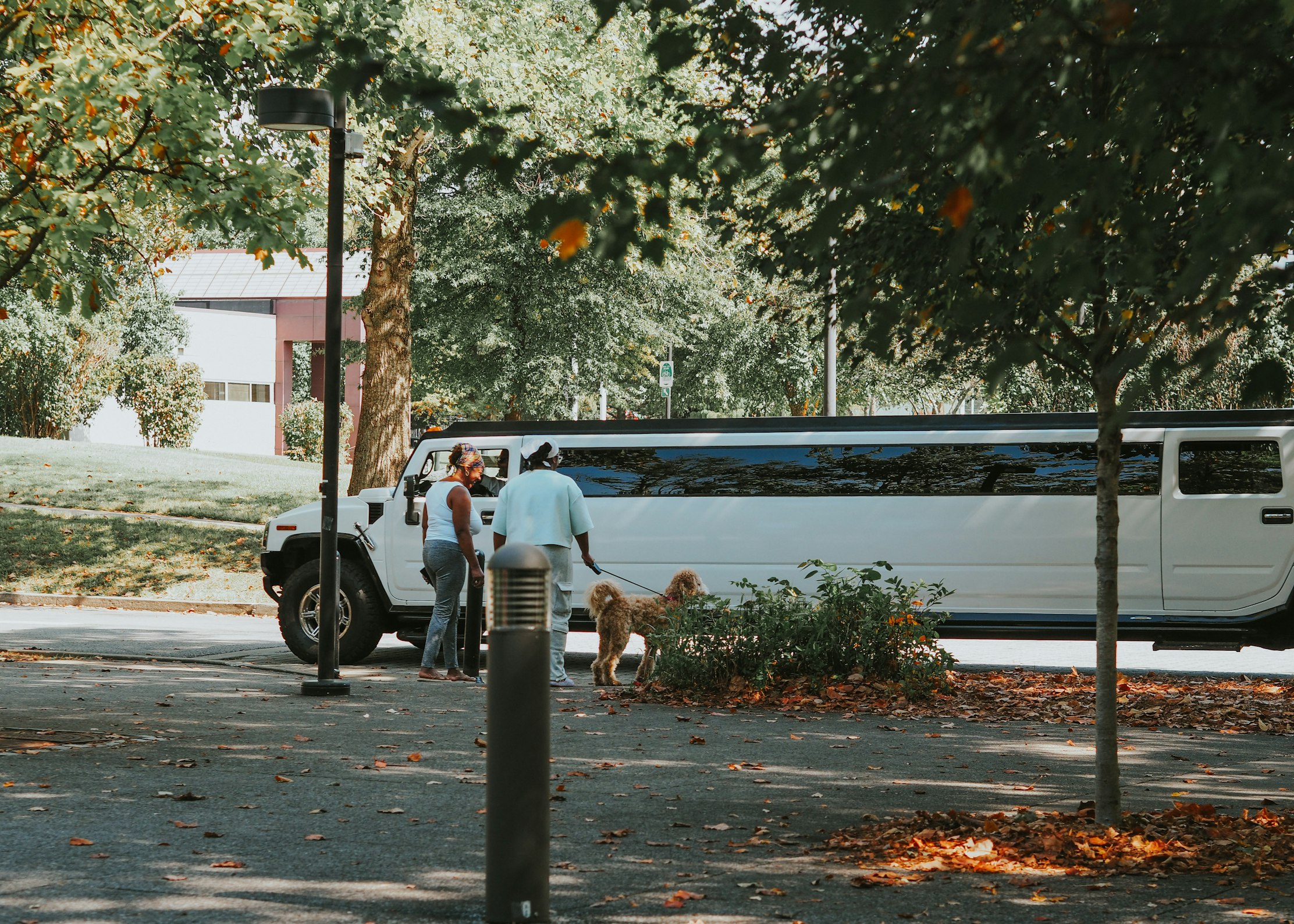 Pet-friendly vacation rentals in Nashville