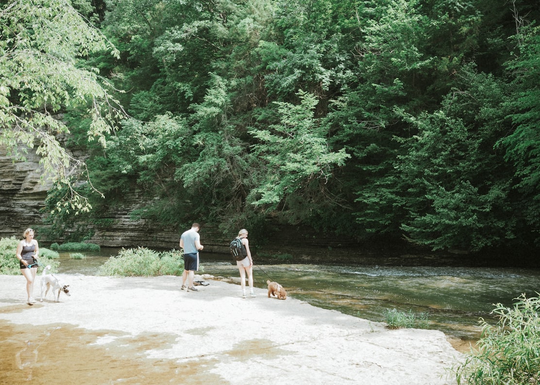 Pet-friendly vacation rentals in Tennessee