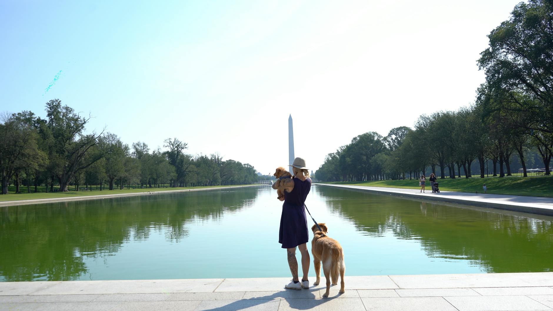 Pet-friendly vacation rentals in Washington